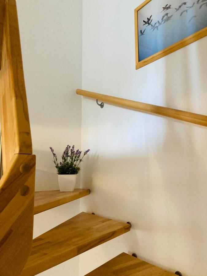 Doppelhaushaelfte Birkenstrasse 5E Villa Zingst Luaran gambar