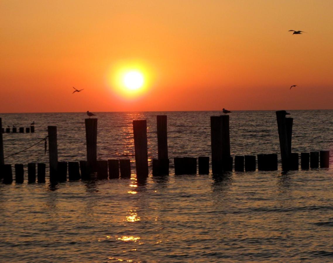 Doppelhaushaelfte Birkenstrasse 5E Villa Zingst Luaran gambar